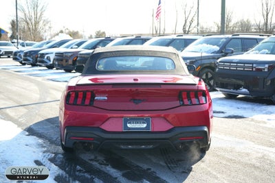 2024 Ford Mustang EcoBoost