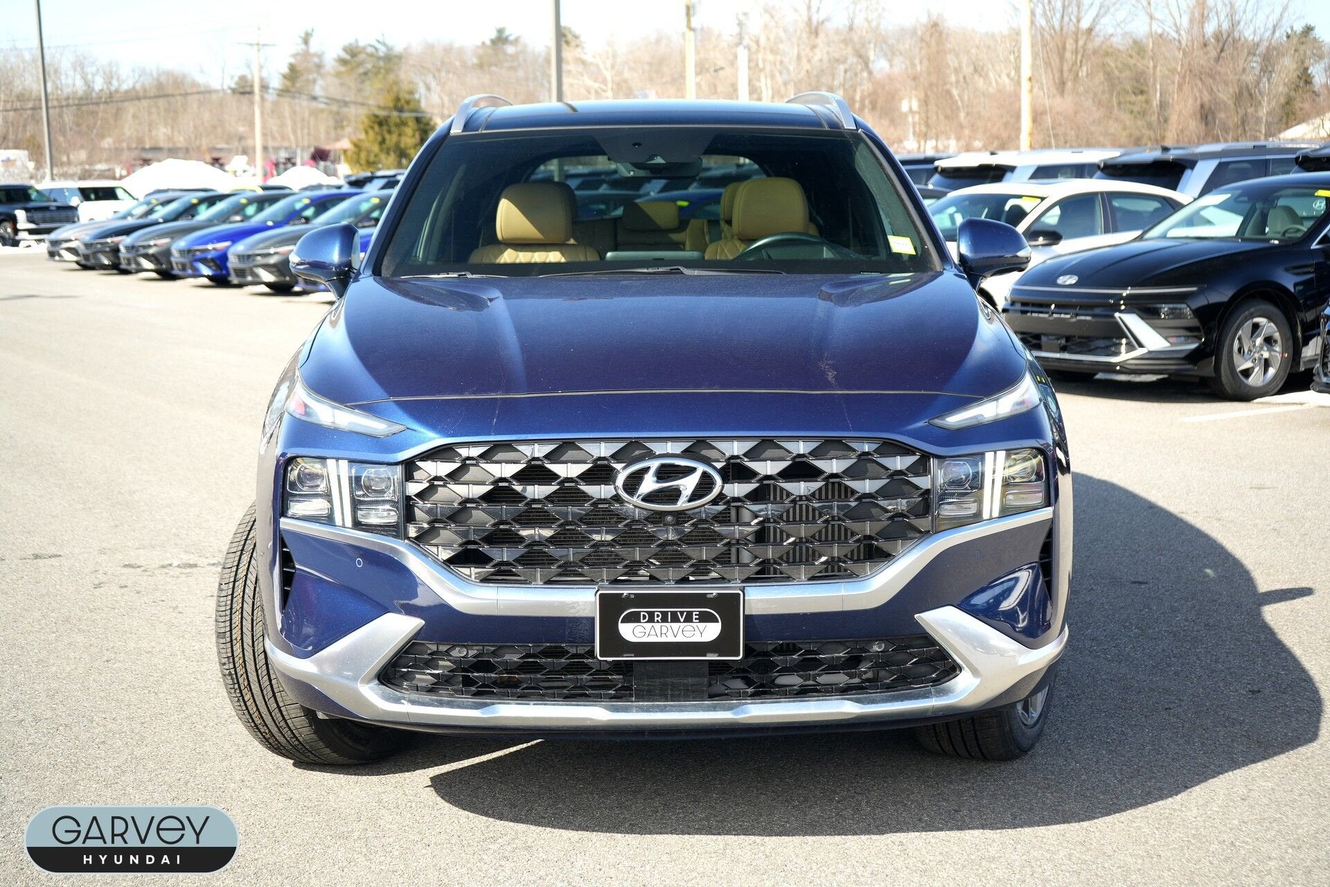 2021 Hyundai Santa Fe Calligraphy