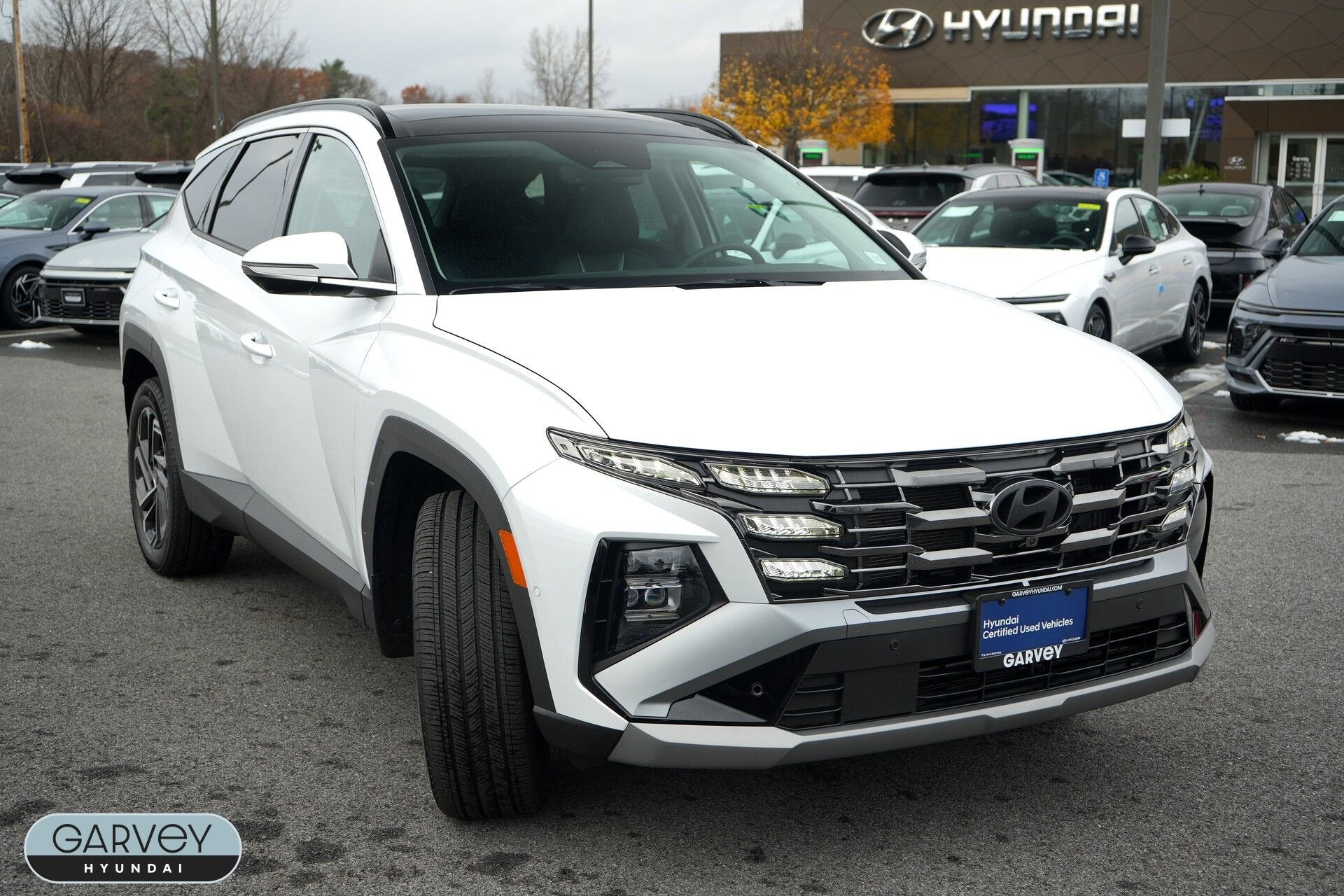 2025 Hyundai Tucson Hybrid Limited