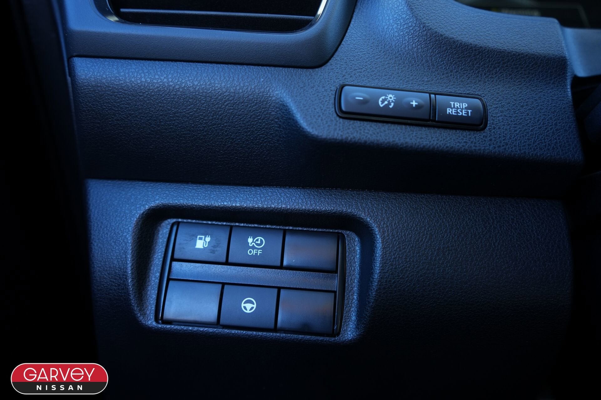 2020 Nissan LEAF SV PLUS