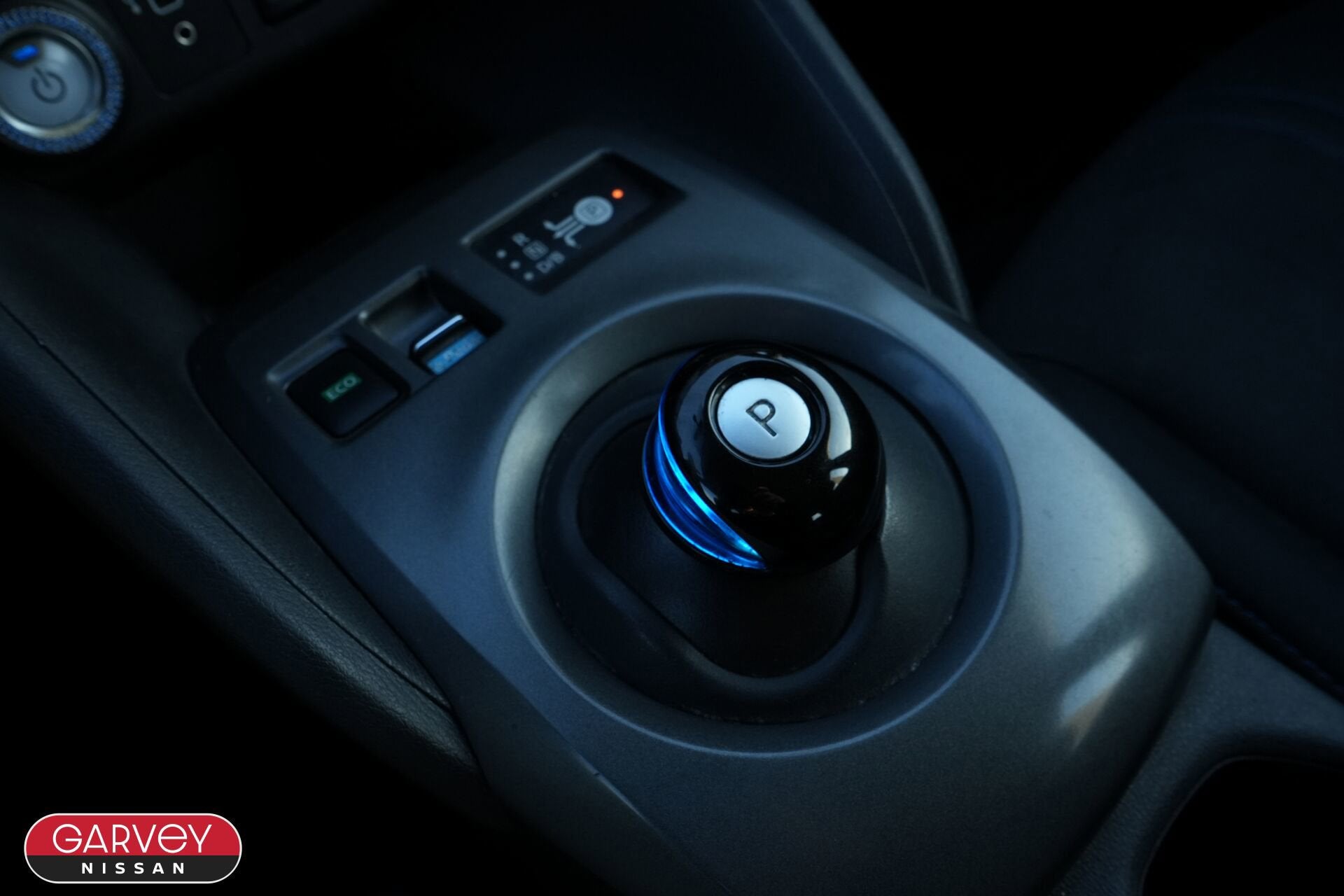 2019 Nissan LEAF S PLUS