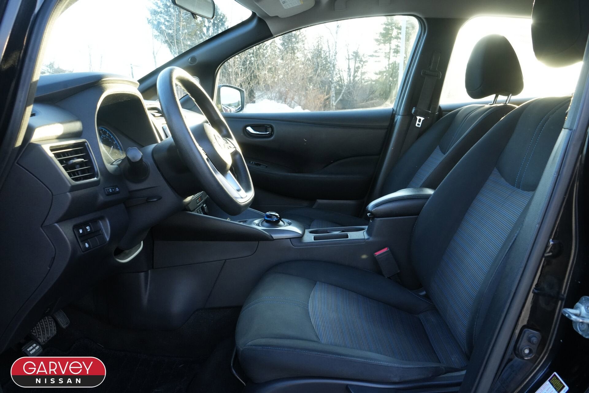 2019 Nissan LEAF S PLUS