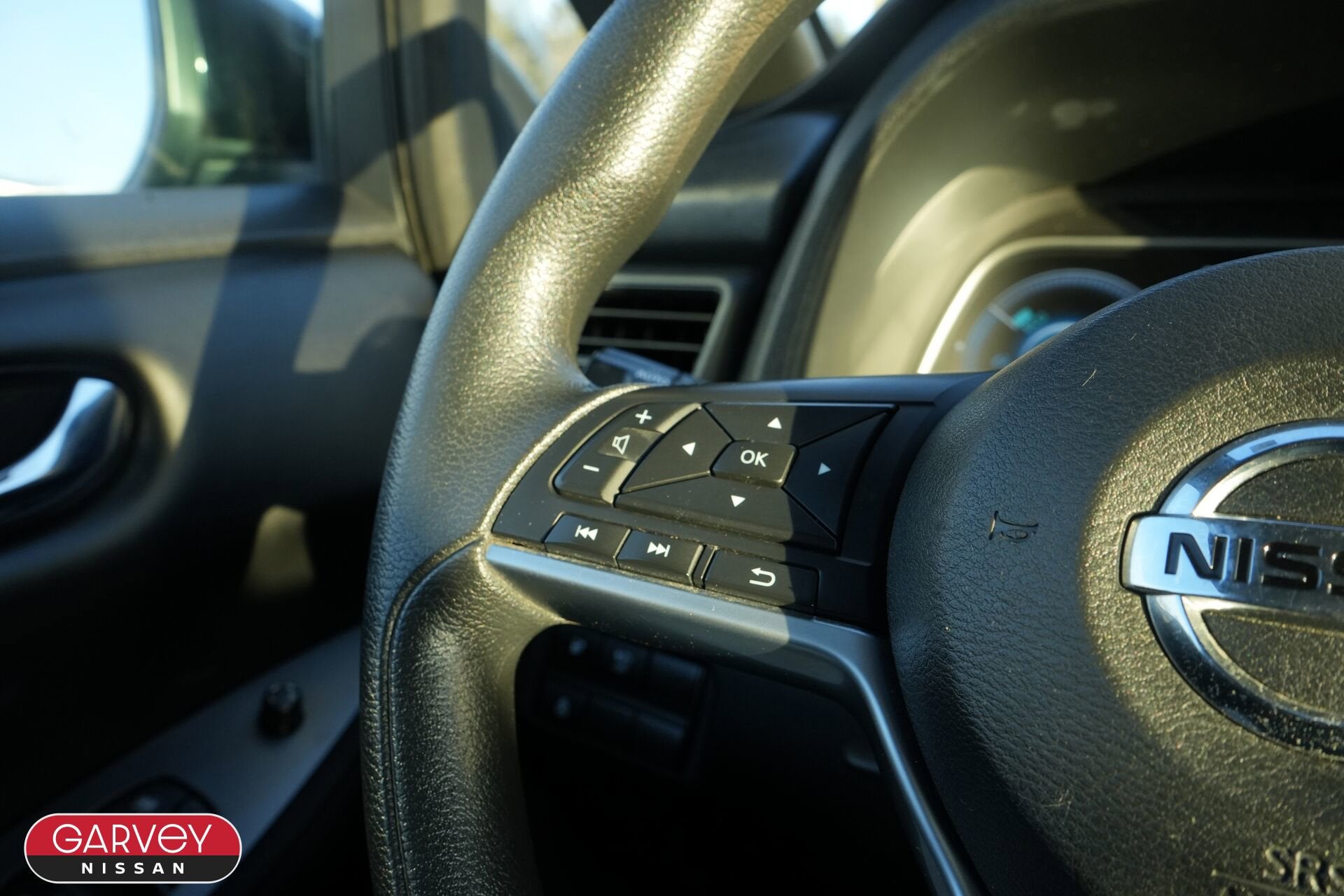 2019 Nissan LEAF S PLUS