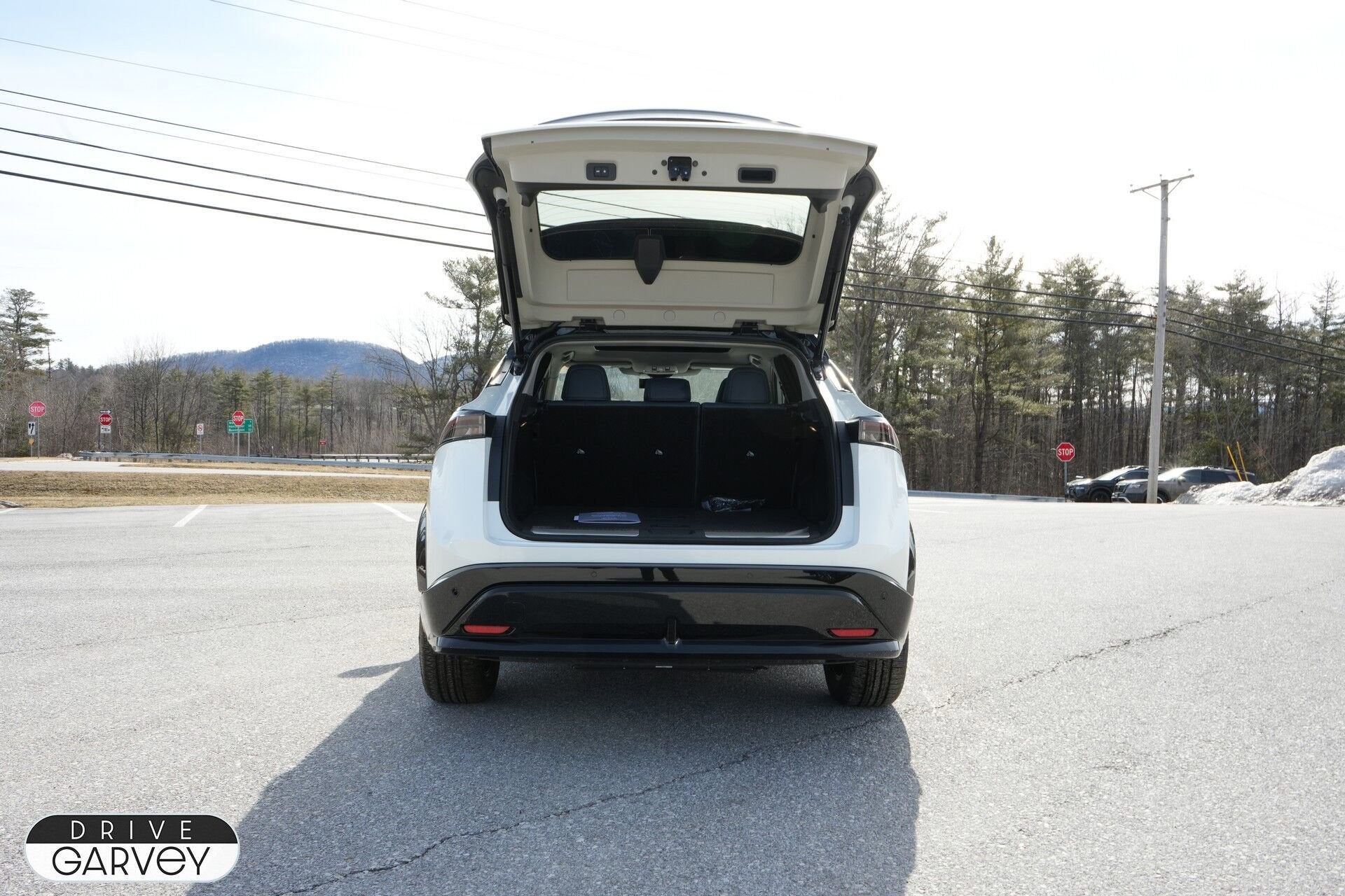 2025 Nissan ARIYA PLATINUM+ Dual Motor e-4ORCE® AWD